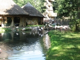 zoo-jihlava